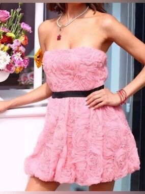 Zara pink ,Black Waistband  Structured Short Floral beautiful Dress Size XL